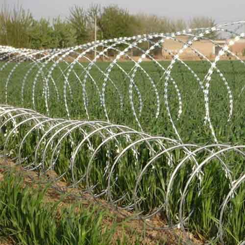 PVC PE Coated Galvanized High Strength Razor Barbed Wire for Protection Mesh/Farm Fencing