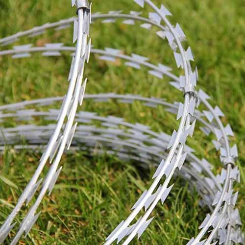 Razor Barbed Wire Machine Double Concertina Snake-Shaped Knife Thorns Single -Circle Steel Wire Razor Barbed mesh